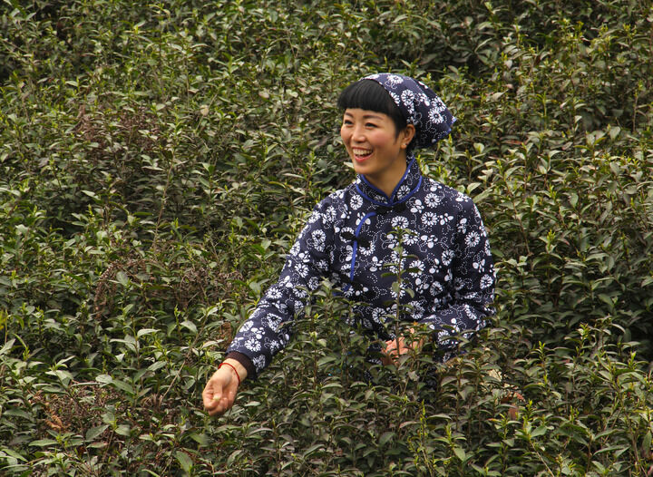 百丽破解版 热门推荐